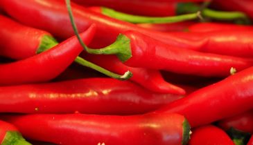 How spicy chilis can help you at tennis?